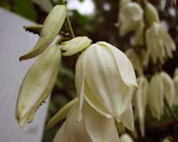 �A�c�o�L�~�K������