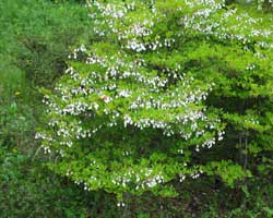 �h�E�_���c�c�W