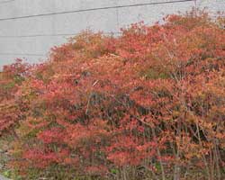 �h�E�_���c�c�W