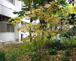 �n�i�Y�I�E