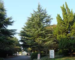 �q�}�����X�M