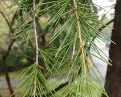 �q�}�����X�M