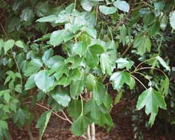 �J�N���~�m