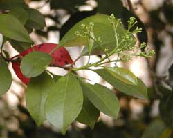 �J�i�����`��