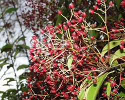 �J�i�����`��