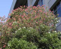 �L���E�`�N�g�E