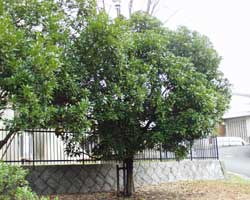 �}�e�o�V�C