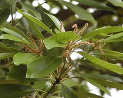 �}�e�o�V�C