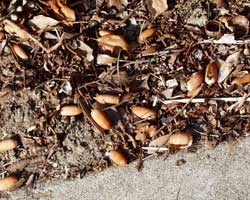 �}�e�o�V�C