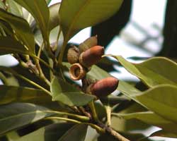 �}�e�o�V�C