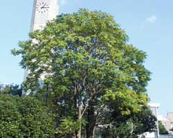 �j���E���V