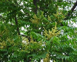 �j���E���V