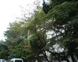 �I�I�V�}�U�N��