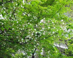 �I�I�V�}�U�N��