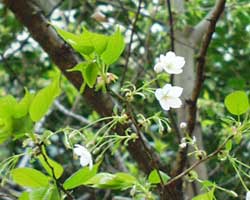 �I�I�V�}�U�N��