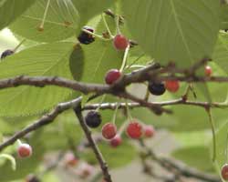 �I�I�V�}�U�N��