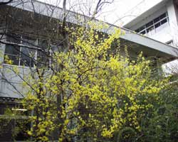 �����M���E