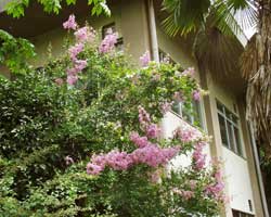 �T���X�x��