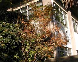 �T���X�x��