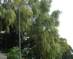 �V�_�����i�M