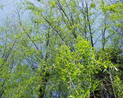 �V�_�����i�M�V��