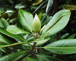 �^�C�T���{�N