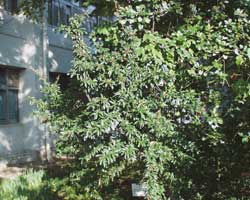 �g�L���T���U�V