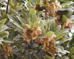 ���}����