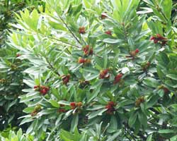 ���}����