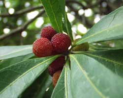 ���}����